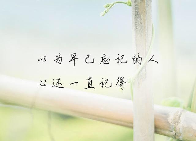 10句話惹人心疼！所有的眷戀，都是因為相欠(句句刺心)