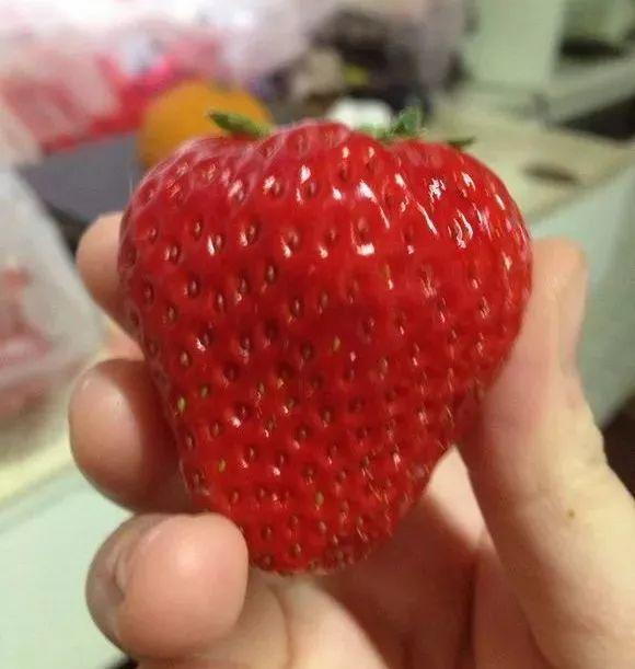 草莓「表面刮點皮」，扔土裡蹭蹭冒芽，結出100個果子！
