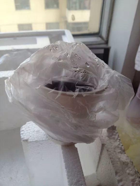 草莓「表面刮點皮」，扔土裡蹭蹭冒芽，結出100個果子！