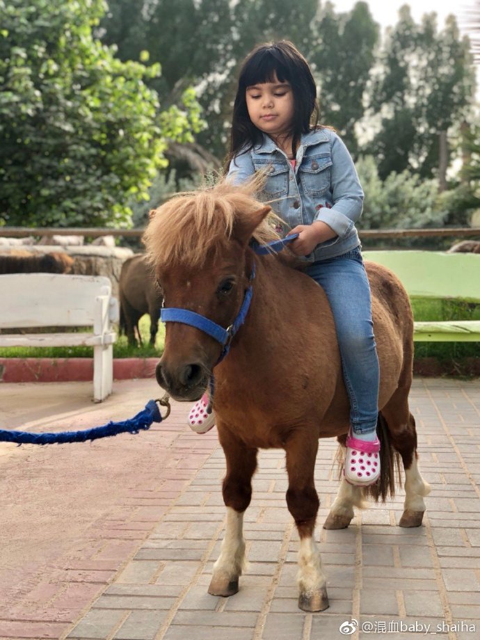 年輕嫁去杜拜！住私人豪宅「把整座動物園搬進來」大到迷路　想回娘家就「包下整台飛機」笑曝老公身分