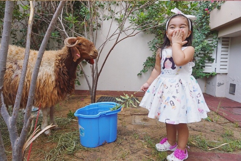 年輕嫁去杜拜！住私人豪宅「把整座動物園搬進來」大到迷路　想回娘家就「包下整台飛機」笑曝老公身分