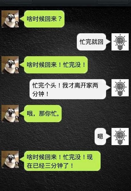 如果狗會跟主人「傳訊息聊天」？模擬「二哈Style」網笑翻：超傳神！