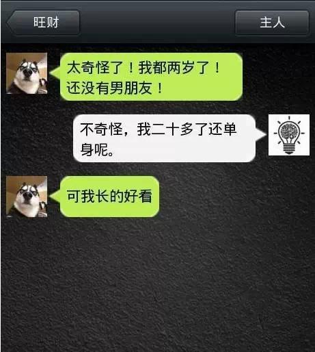 如果狗會跟主人「傳訊息聊天」？模擬「二哈Style」網笑翻：超傳神！