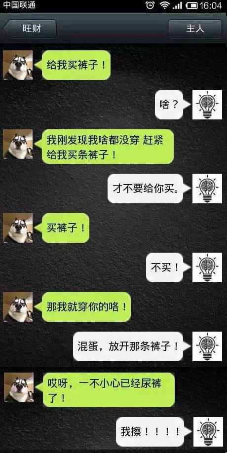 如果狗會跟主人「傳訊息聊天」？模擬「二哈Style」網笑翻：超傳神！
