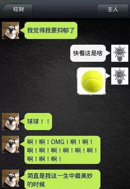 如果狗會跟主人「傳訊息聊天」？模擬「二哈Style」網笑翻：超傳神！