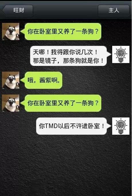 如果狗會跟主人「傳訊息聊天」？模擬「二哈Style」網笑翻：超傳神！