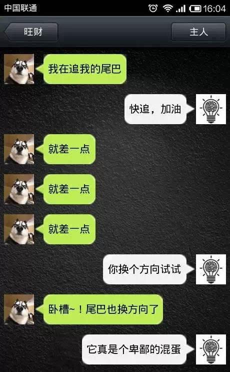 如果狗會跟主人「傳訊息聊天」？模擬「二哈Style」網笑翻：超傳神！