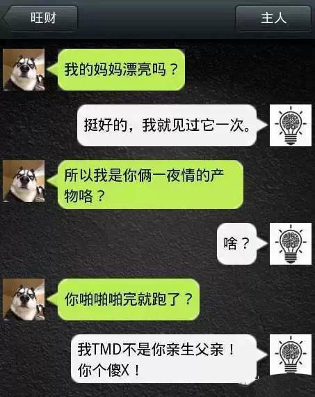 如果狗會跟主人「傳訊息聊天」？模擬「二哈Style」網笑翻：超傳神！
