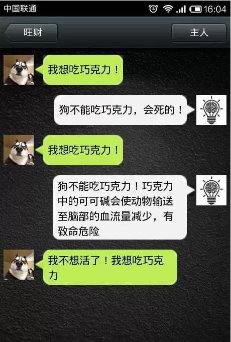 如果狗會跟主人「傳訊息聊天」？模擬「二哈Style」網笑翻：超傳神！