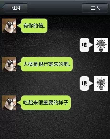如果狗會跟主人「傳訊息聊天」？模擬「二哈Style」網笑翻：超傳神！