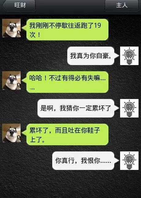 如果狗會跟主人「傳訊息聊天」？模擬「二哈Style」網笑翻：超傳神！