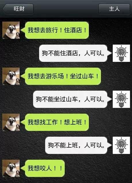 如果狗會跟主人「傳訊息聊天」？模擬「二哈Style」網笑翻：超傳神！