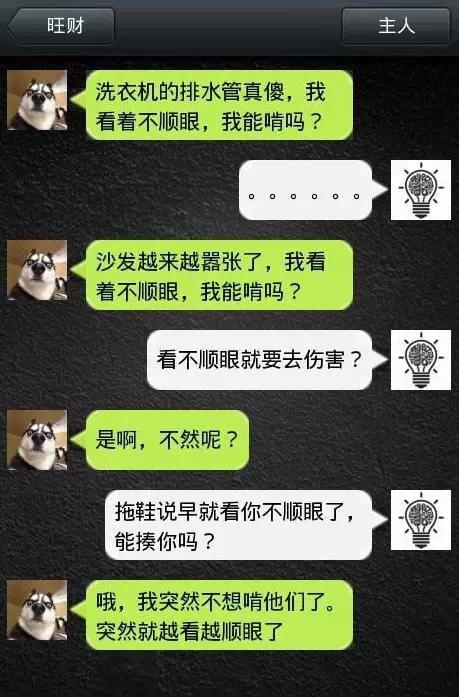 如果狗會跟主人「傳訊息聊天」？模擬「二哈Style」網笑翻：超傳神！
