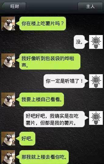 如果狗會跟主人「傳訊息聊天」？模擬「二哈Style」網笑翻：超傳神！