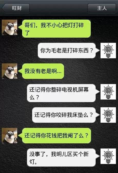 如果狗會跟主人「傳訊息聊天」？模擬「二哈Style」網笑翻：超傳神！