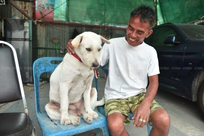 失蹤愛犬回家了！阿伯辦流水席「隨便大家吃」網讚：真的很愛狗～