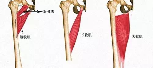 每天原地「青蛙式」50次「20天全身瘦下來」比跑步效果好「腰肩不僵硬」舒服多了