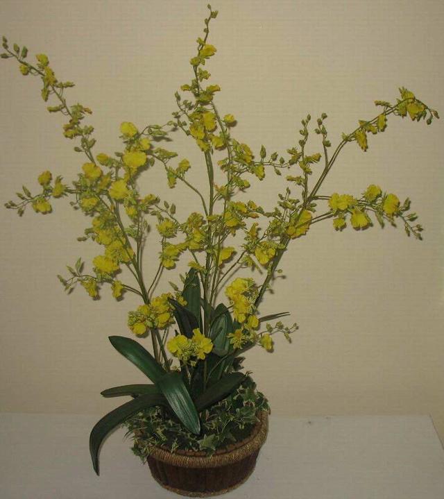 8種春節「好運花」寓意特別好，過年只要擺一盆「好運滾滾來」