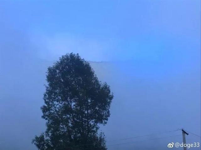患抑鬱單親女孩「帶媽媽進深山」過田園生活　鼓起勇氣人生「正重新開始」
