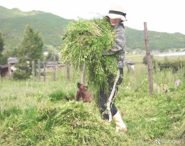 患抑鬱單親女孩「帶媽媽進深山」過田園生活　鼓起勇氣人生「正重新開始」