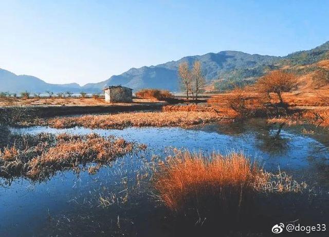 患抑鬱單親女孩「帶媽媽進深山」過田園生活　鼓起勇氣人生「正重新開始」