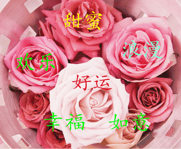 今天是2月的第一天，誰打開，誰好運！