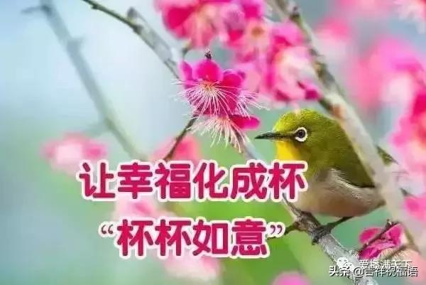今天是2月的第一天，誰打開，誰好運！