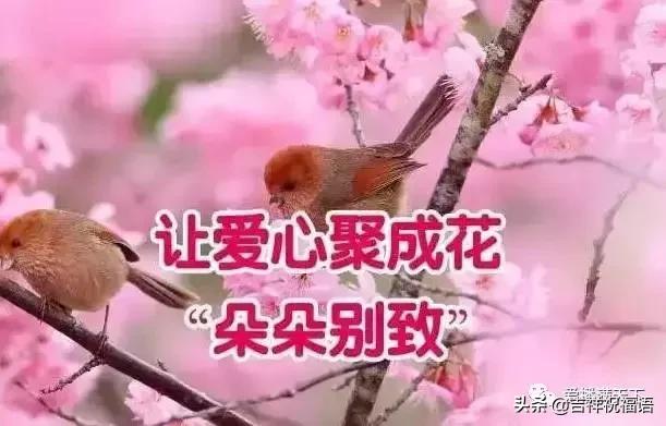 今天是2月的第一天，誰打開，誰好運！