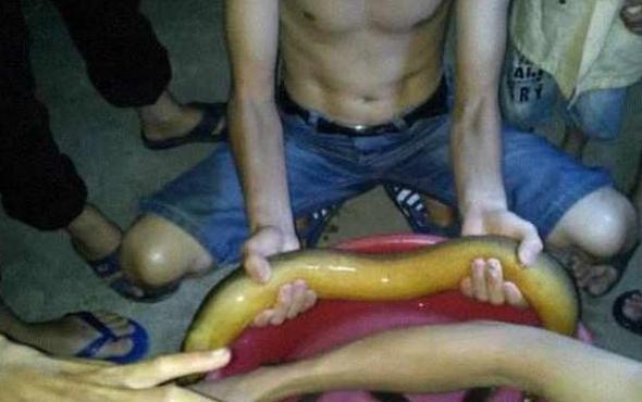男子承包魚塘，在裡面發現活了30年的「魚王」！土豪用100000將其買下