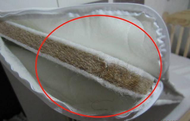 床墊枕頭用久「蟎蟲成窩」？阿嬤親授「3分鐘輕鬆去除」免曬太陽、免清洗