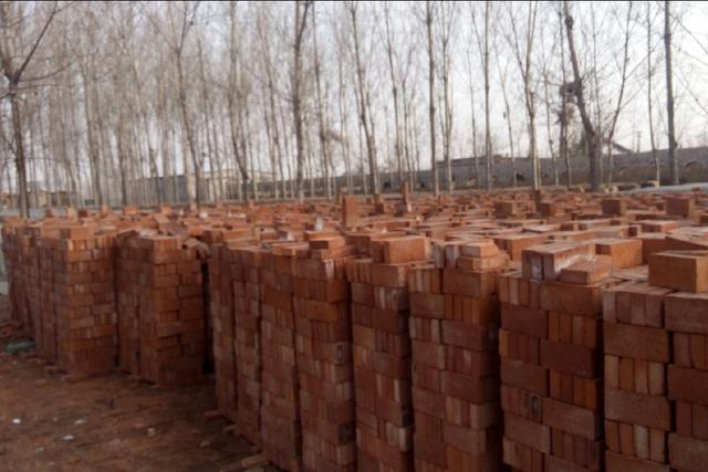 農民工磚廠搬磚，年底老闆拿100萬塊磚抵工資，結果老闆傻了眼