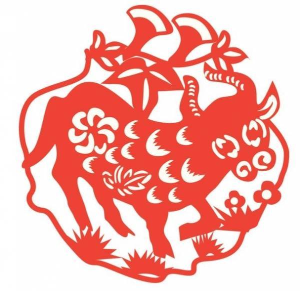 2019年最好運的生肖女