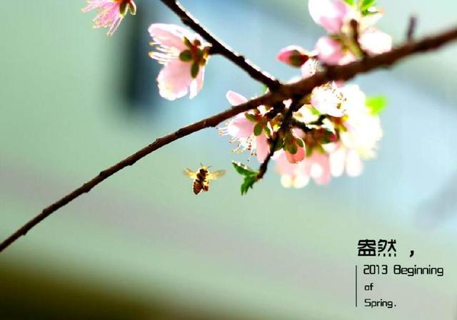 立春過後，恭喜有三大喜的7生肖：1喜中大獎，2喜遇貴人，3喜橫財發