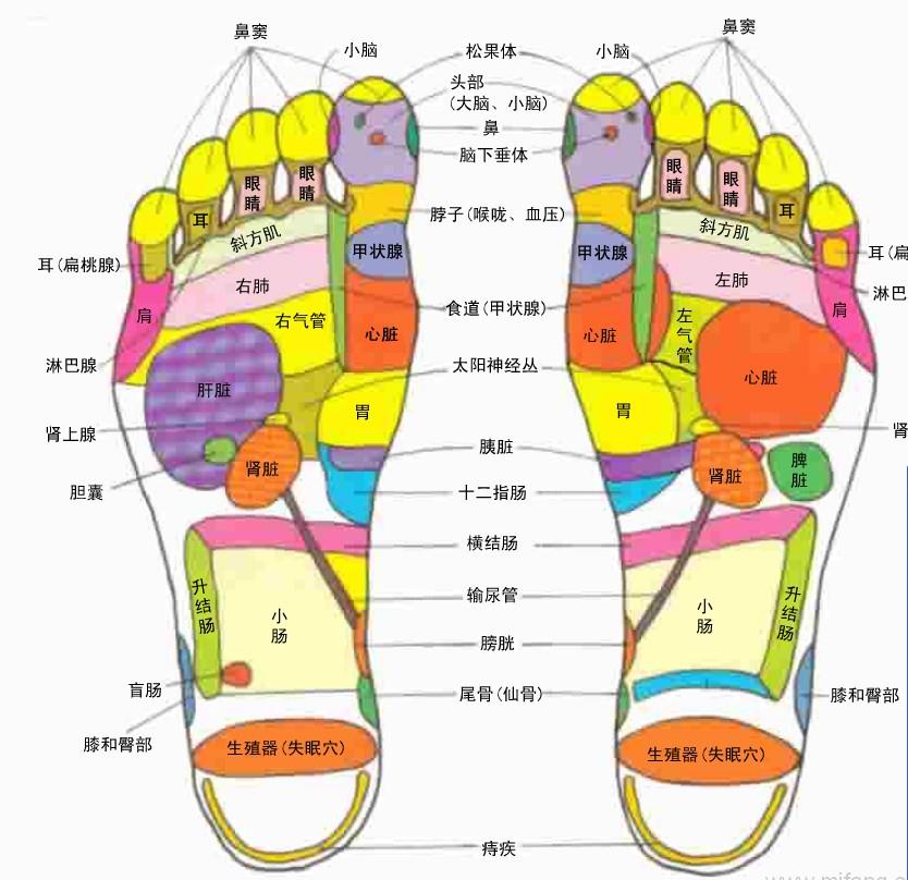 腳相看命運！5種「腳相」的人最好命　一輩子「福氣滿滿」財源滾滾