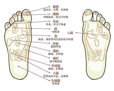 腳相看命運！5種「腳相」的人最好命　一輩子「福氣滿滿」財源滾滾