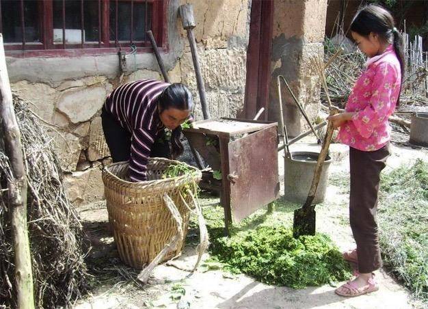 哥哥娶打工妹，弟弟娶老闆女兒，父親有难，讓兄弟倆看清了婚姻！