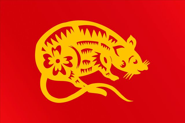 2020年「12生肖改命的10種方法」學會可以招財來