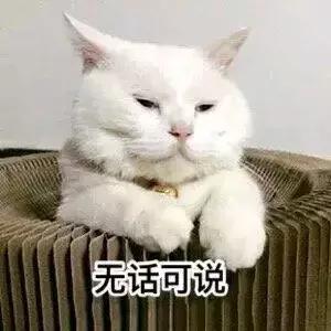  8個密封箱子路邊放了四個月沒人動，打開一看警察都嚇著了！