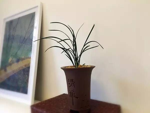 想省錢90後女子「大膽租下7千元舊屋」　神改造讓網友喊：拜託租給我