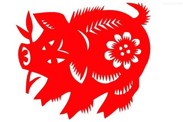 2019年，十二生肖運勢解析大全！你的好運即將降臨