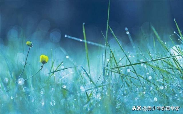 旁人看著都眼紅！人到中年，只要每天堅持「四件事」，運氣就能節節高升！