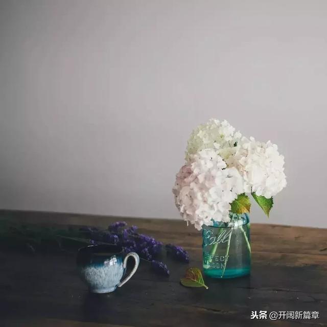 這是一位老人寫給自己的信，八個停止（寫的真好）