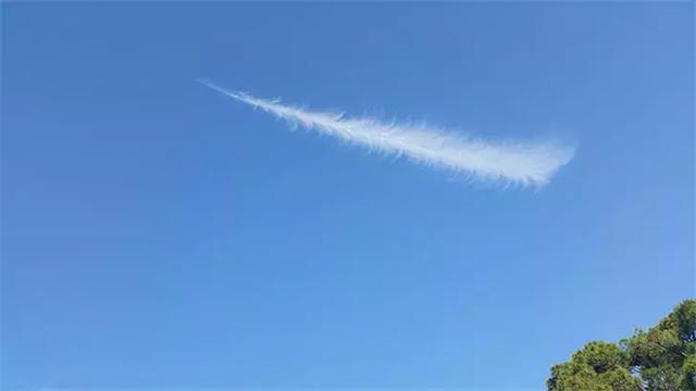 「50張頂級照片」全球難得一見！每一張都驚嘆不已：勝過一切喧囂