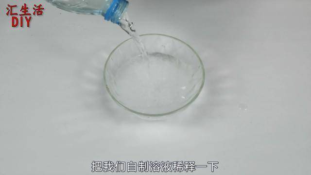 【超實用】趕走蟑螂的妙方「家中放一片葉子」一晚蟑螂就會全部消失