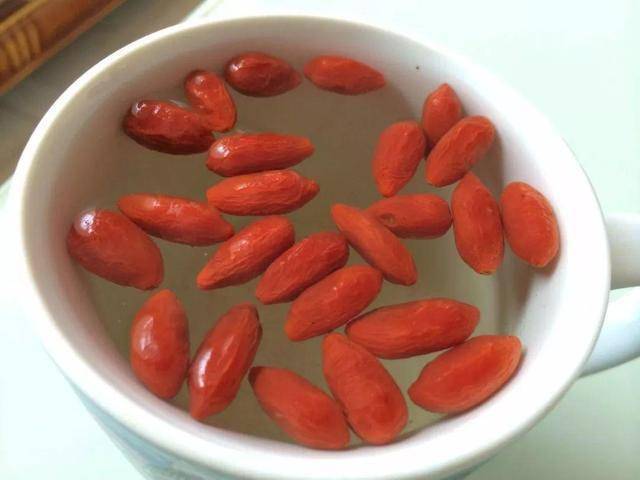 枸杞不用花錢買！自己種一盆「幾個月就爆盆」家裡吃不完