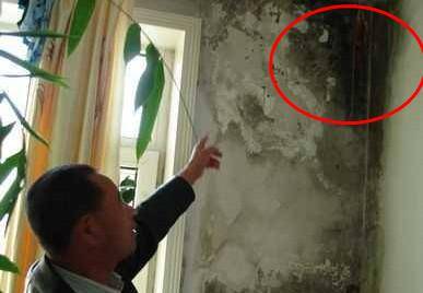 牆面「起皮發黴」不用找裝修工！老師傅教你一招「補牆膏+補牆漆」連女人都能修補好 
