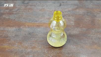 睡前把牙膏塗在腳底上！原來還有這樣的「好處」不知道就太虧了