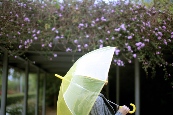 春雷要響了？中央氣象局發布「北部3縣市大雨特報」　不排除未來「第2號颱風恐生成」