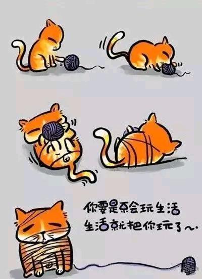 經典的人生歪理，歪的很有道理！（牢牢收藏）