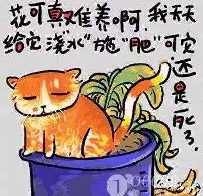 經典的人生歪理，歪的很有道理！（牢牢收藏）
